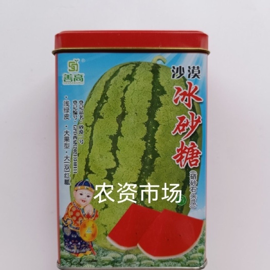 华容县善高 沙漠西瓜冰砂糖硒砂石头西瓜种子 大果西瓜红沙瓤浅绿皮