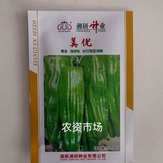华容县美优辣椒种子 中早熟 长灯笼型 浅绿色薄皮大果椒泡椒 产量高
