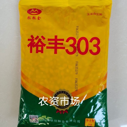 华容县裕丰303玉米种子产量高 稳产抗虫抗病抗倒耐高温 密植抗锈