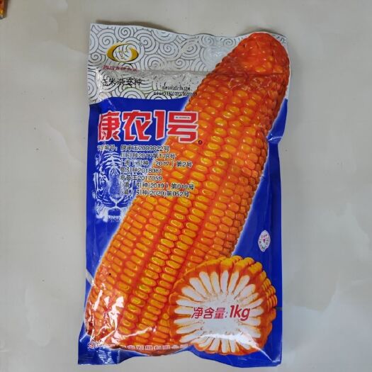 华容县康农1号 杂交玉米种子喂家禽鸡鸭苞谷种子矮杆大棒产量高白轴