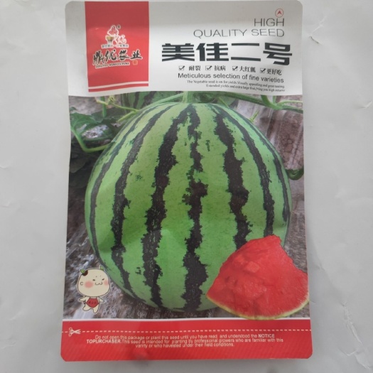 华容县美佳二号西瓜种子中早熟大红瓤耐圆形裂耐储运麒麟瓜类型西瓜种子