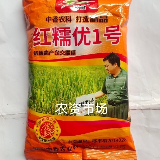 华容县红糯优1号农科院杂交水稻糯种 迟熟  丰产 高糯性种子