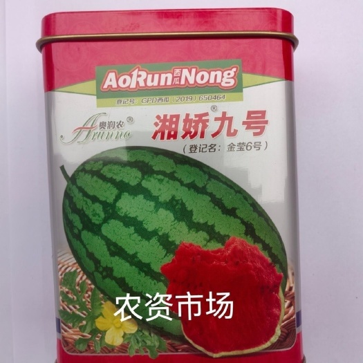 华容县【热卖】湘娇九号 西瓜种子 甜度高抗病耐储运 产量高