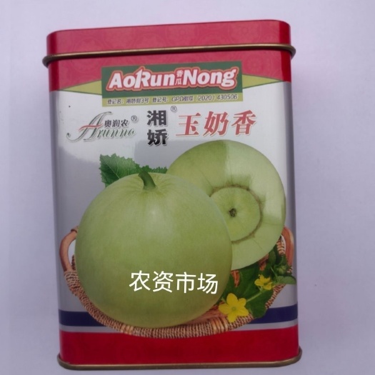 湘娇玉奶香 甜宝薄皮香瓜种子 早熟 甜瓜香瓜籽 春季种植香甜