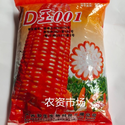 华容县广西D玉001杂交玉米种子 白轴大棒抗病抗倒伏产量高