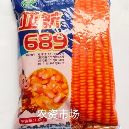 华容县【热卖原装】亚航689玉米种子 杂交产量高抗倒白轴矮杆大棒