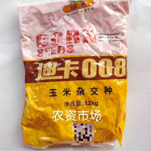 华容县迪卡008 抗倒矮杆玉米种子 白轴抗病抗倒伏 产量高
