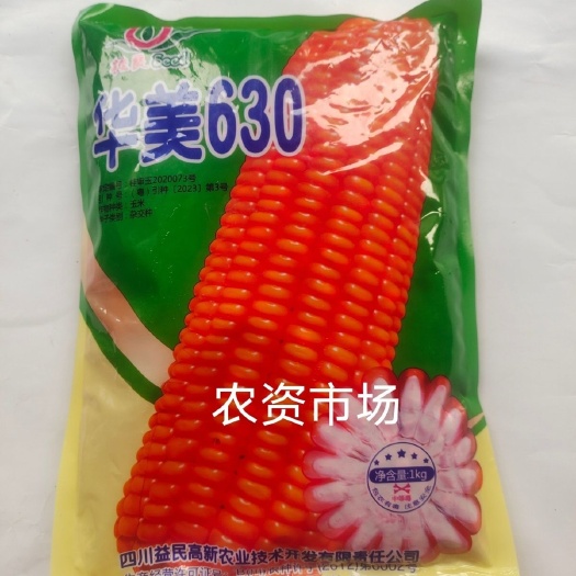 华容县【店铺热卖】华美630白轴硬粒大棒 抗病抗倒伏产量高