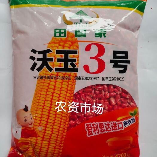 华容县【热卖】沃玉3号 原装正品 大棒 抗病抗虫抗倒产量高
