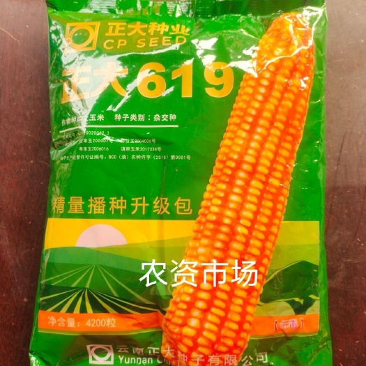 华容县【热卖中原装4200粒正大619 杂交玉米种子产量高耐旱抗病