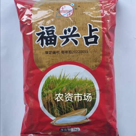 华容县福兴占杂交水稻种子 产量高抗病优质水稻种子生育期117.中熟