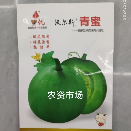 华容县青蜜 甜瓜种甜瓜种子阔梨形甜瓜种子青皮青肉口感好水果甜瓜