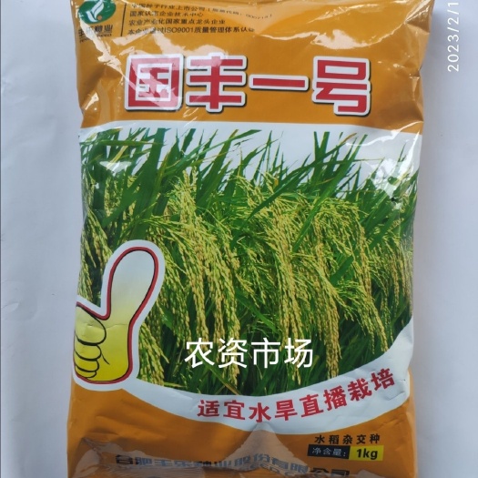 华容县国丰一号 杂交水稻种子 全育期121天左右 产量高抗病