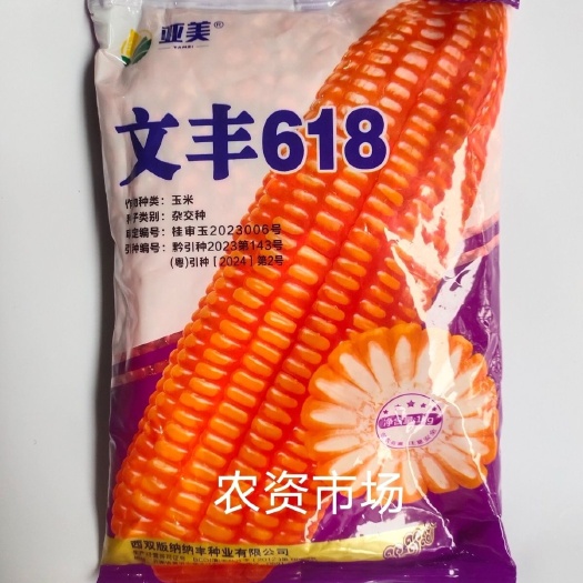 华容县亚美文丰618杂交玉米种子  抗病抗倒伏 穗轴白 耐旱丰产
