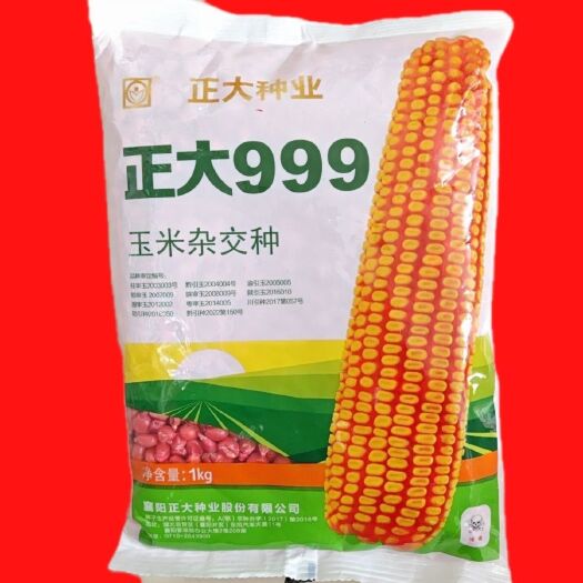 华容县【热卖】正大999杂交玉米种子 穗轴红色抗倒伏抗病 产量高