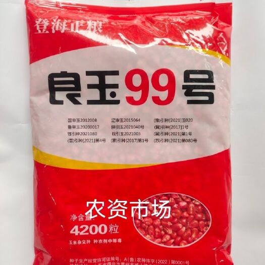 华容县【热卖】良玉99号国审玉米种子 穗轴红色 抗病抗倒伏 产量高