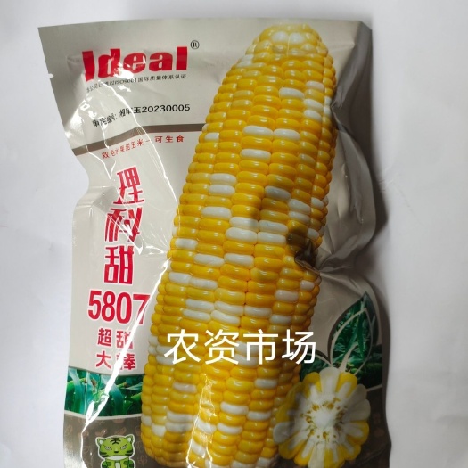华容县理科甜5807双色水果甜玉米种子杂交超甜大棒早熟皮薄口感好