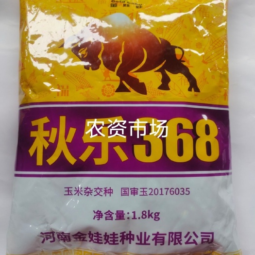 华容县金娃娃秋乐368国玉米种子 抗锈红轴大棒,抗病抗倒伏