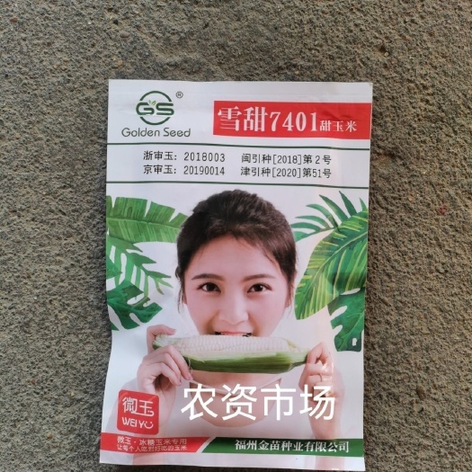 华容县【热卖】雪甜7401甜玉米种子甜鲜食玉米杂交种籽冰糖玉米