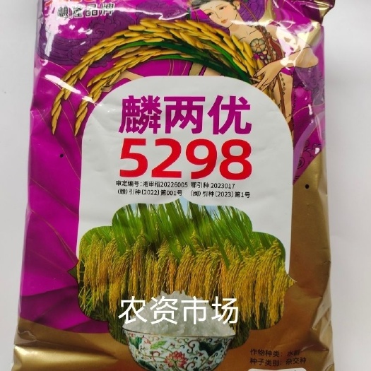华容县麟两优5298杂交水稻谷种子 迟熟 抗病抗倒伏 产量高口感好