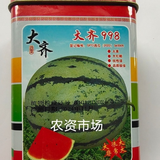 华容县安徽大齐378/998大果花皮西瓜种子高品质大红瓤抗性强