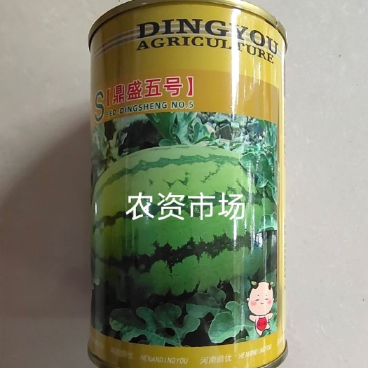华容县鼎优鼎胜5号西瓜种子 抗病 个大 瓤红 产量高 口味佳