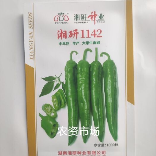 华容县湘研1142 中早熟大果牛角椒  微辣皮薄辣椒 丰产抗性好