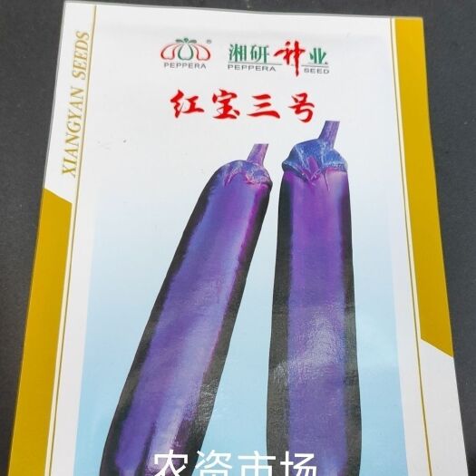 华容县湘研 红宝3号杂交茄子种子 中熟果肉白色 果皮紫红色品质佳耐