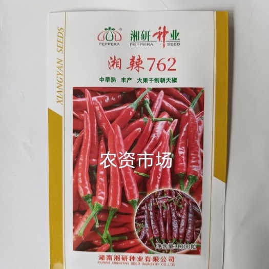 华容县湘研湘辣762辣椒种子 大红辛辣产量高抗病 朝天椒