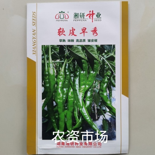 华容县湘研软皮早秀辣椒种子 早熟味辣皱皮辣椒种子 薄皮软皮辣椒种子