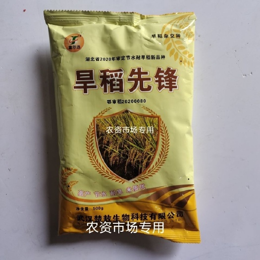 华容县旱稻先锋旱稻水稻种子杂交抗旱性好 谷粒细长抗病抗倒产量高