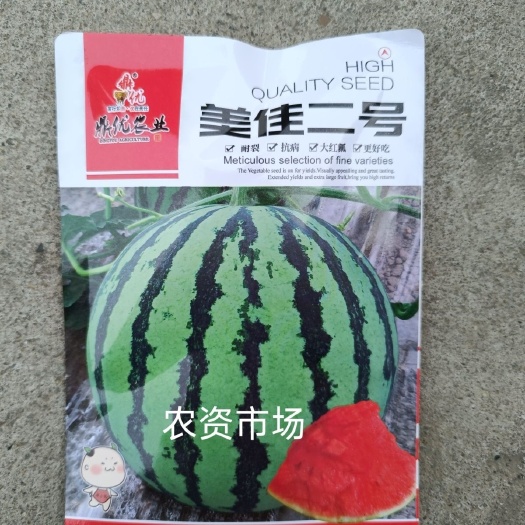 华容县鼎优 美佳二号 西瓜种子 麒麟西瓜种甜度高大红瓤耐裂
