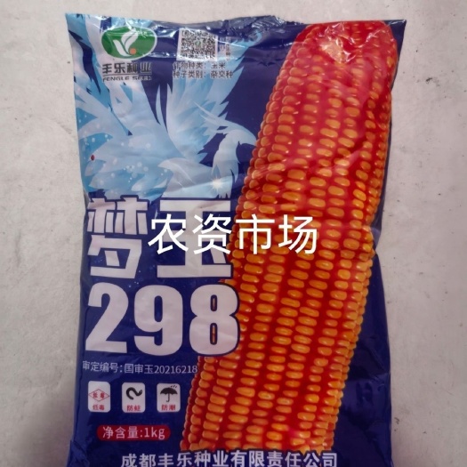 华容县【热卖】国审玉梦玉298杂交玉米种子穗轴白色籽粒黄色半马齿高