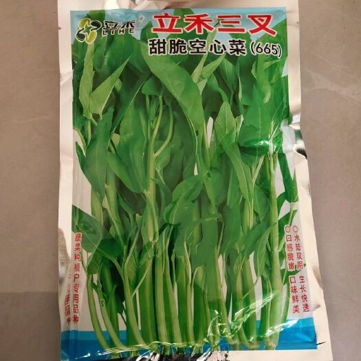 华容县立禾三叉 甜脆空心菜 三叉空心菜种子 水陆两用 生长快速