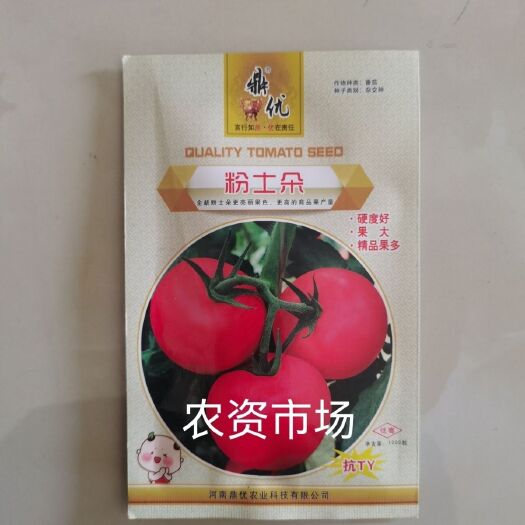华容县粉士朵红番茄种子 硬度高果大无线生长 中早熟粉红果西红柿抗病
