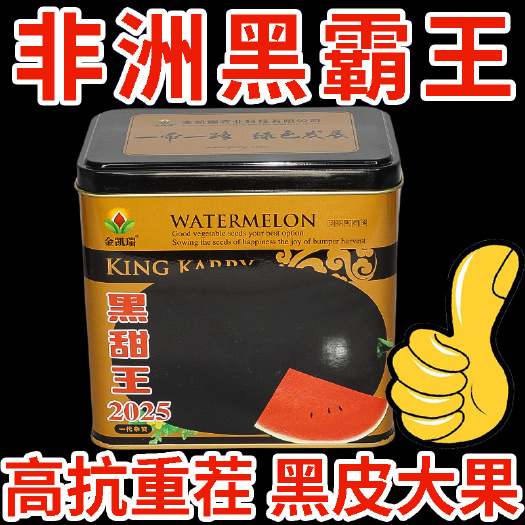 华容县特大黑皮西瓜种子甜王8424懒汉麒麟西瓜种籽春四季大田蔬菜种