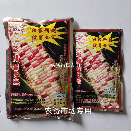 华容县国审彩玉米种子 荆州大花基地专用加甜彩糯玉米大棒产量高