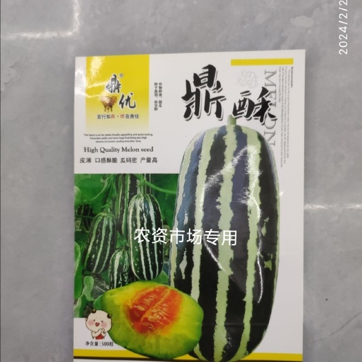 华容县鼎酥甜瓜种子正品大香瓜甜瓜 皮薄口感酥脆 产量高早熟羊角蜜瓜