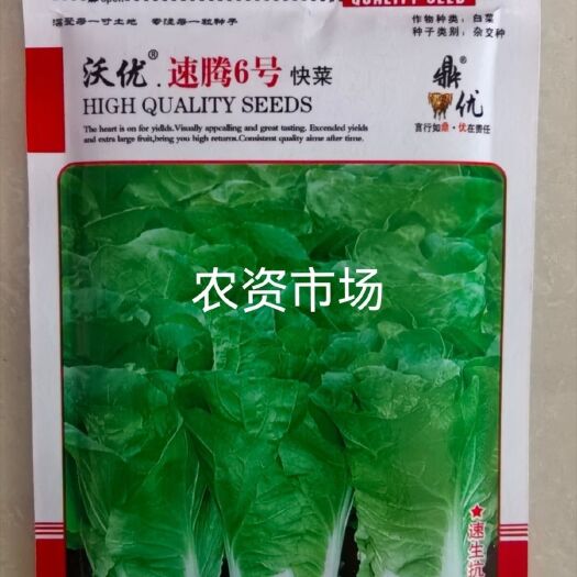 华容县鼎优沃优速腾6号快菜 速生 抗病强 叶片肥大 厚嫩 产量高