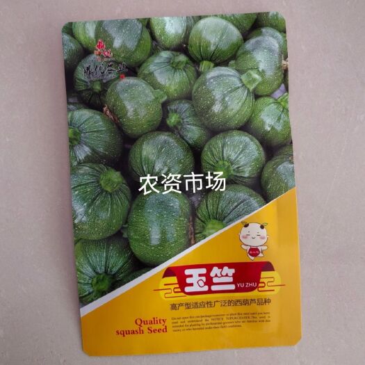 华容县玉竺 早熟无蔓绿珠西葫芦种子 小南瓜圆西葫芦籽产量高抗热抗病