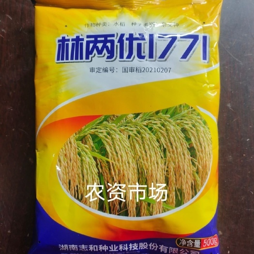 华容县林两优1771国审杂交水稻谷种子 抗病 产量高 口感好