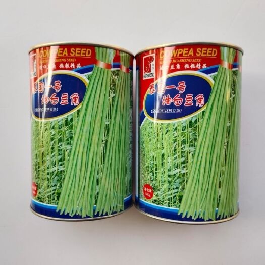 华容县泰国豇豆种 泰国一号油白豆角 抗热抗病产量高肉厚豆