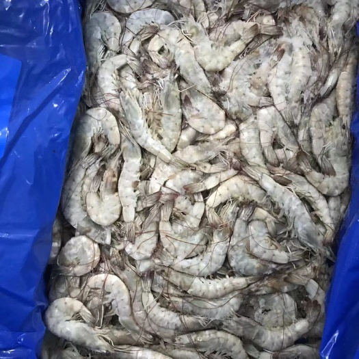 南美白对虾
