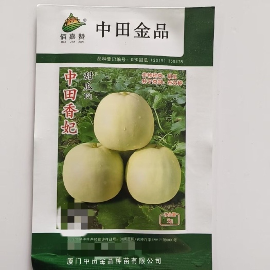 华容县正品原装中田香妃甜瓜种子薄皮甜瓜种子水果香瓜种子甜度高耐湿热