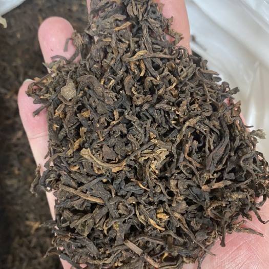 双江县云南普洱茶熟茶从原料到成品。代加工