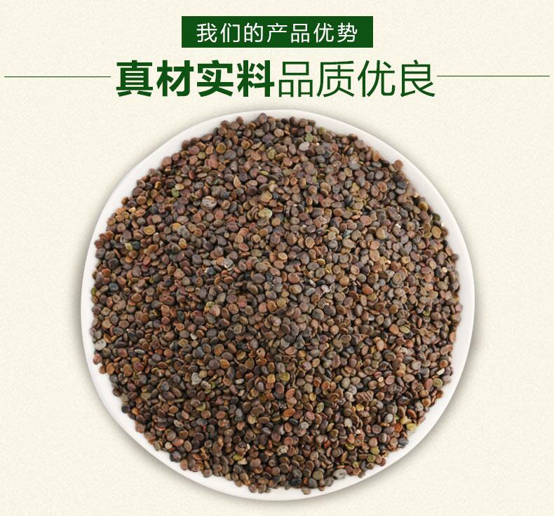 黄芪种子  当年新采黄芪籽 发芽率95%以上提供技术回收产品