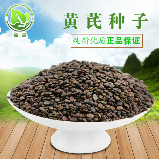 黄芪种子  当年新采黄芪籽 发芽率95%以上提供技术回收产品