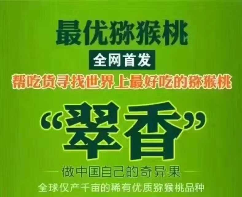  翠香小彌香獼猴桃基地直供誠(chéng)招一件代發(fā)