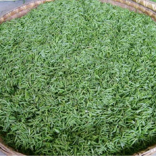 西乡县炒青茶 礼盒装 特级 