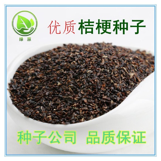 桔梗种子 当年新货 包发芽率 免费提供种植技术